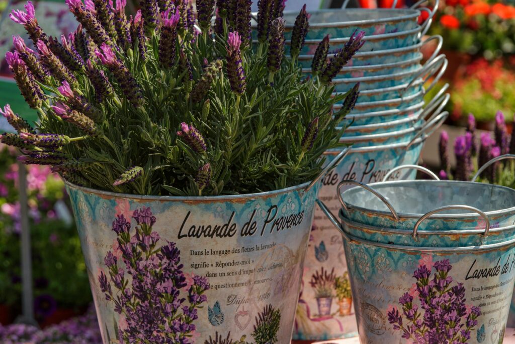 Close-up of lavender flowers in decorative buckets at a sunny outdoor market.