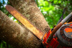 Close-up of a rusty chainsaw cutting through a tree trunk in a forest setting. Vivid colors and detailed textures.