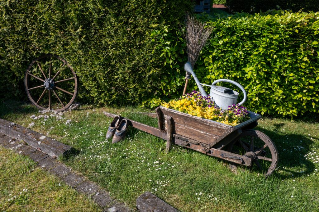 Entretien jardins et espaces verts