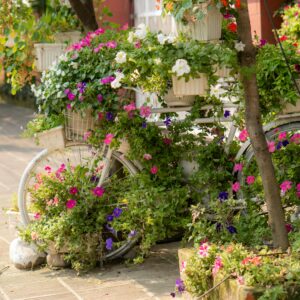 Création et aménagement de jardins